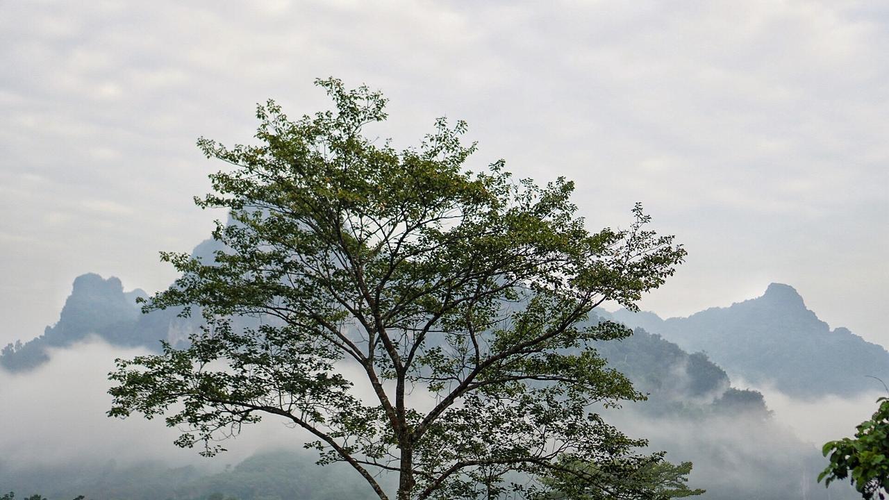 Khaowong Resort Phang Nga Ngoại thất bức ảnh